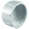 Charlotte Pipe And Foundry Pipe Schedule 40 1 in. FPT X 1 in. D FPT PVC Cap PVC 02117 1200